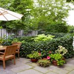 Clever Budget Garden Ideas Worth Trying