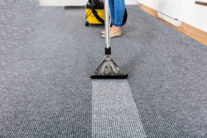 Professional Carpet Cleaners Use