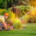 Irrigation Installation