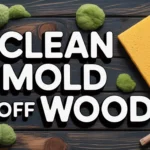 clean-mold-off-wood