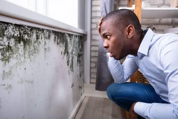 homeowner discovering black mold homeowner discovering black mold